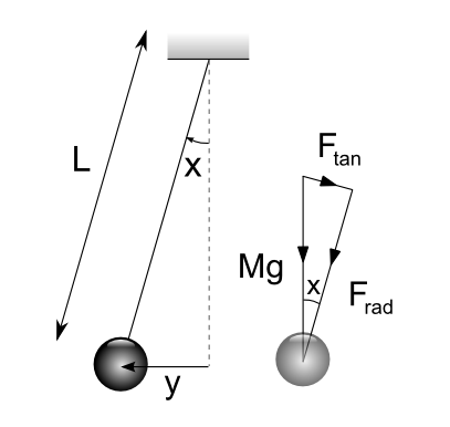 The not-so-simple pendulum 2 The not-so-simple pendulum 2