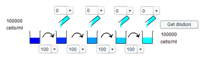 Investigating the dilution series Investigating the dilution series